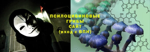тгк Белокуриха