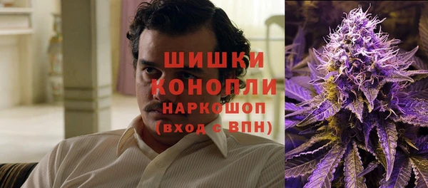 тгк Белокуриха