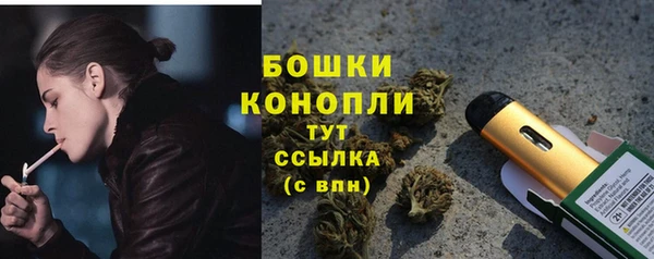 тгк Белокуриха
