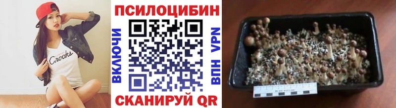 наркошоп Новотитаровская ОМГ ОМГ маркетплейс Галлюциногенные грибы GOLDEN TEACHER